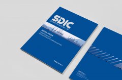 国投丰乐参与制定的这项